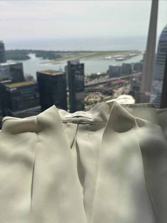 Aritzia Tops - Aritzia Babaton Blouse